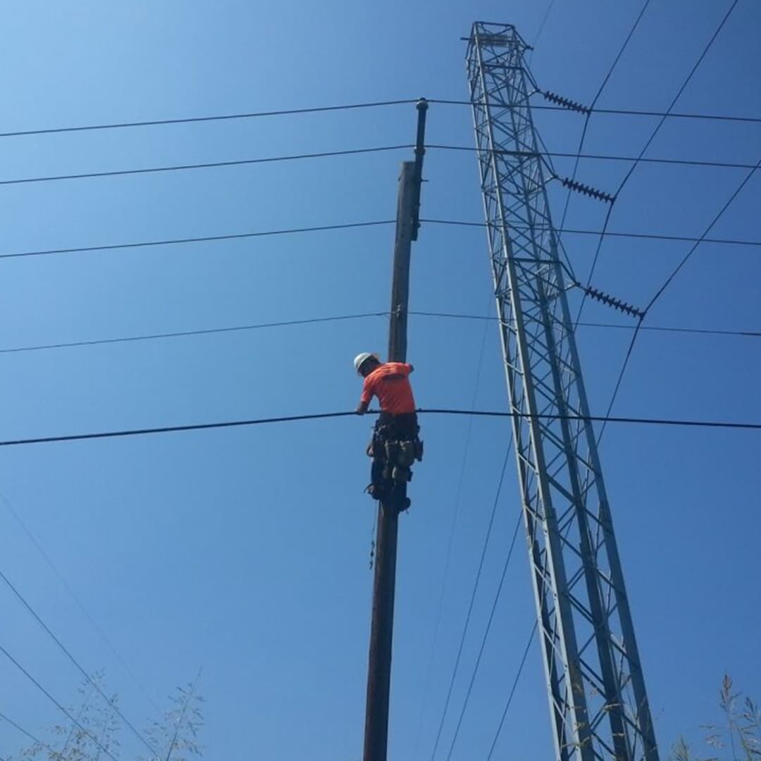 Pole-Climber